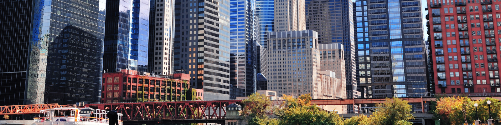 What to Expect from Chicago Movers A Complete Moving Process Guide