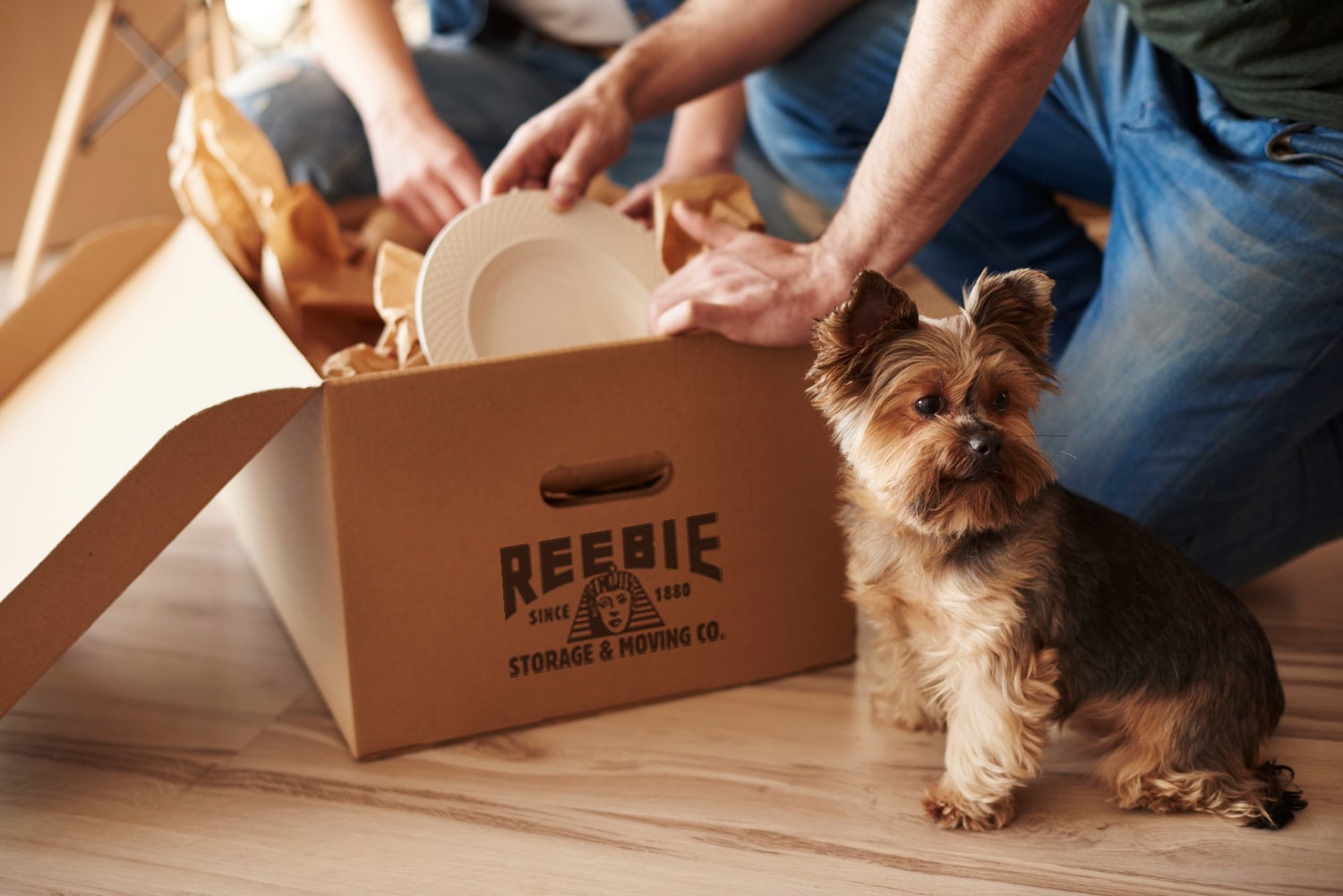 Moving with pets across the country: Auto Travel